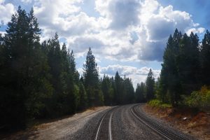 View fromt the back window of the California Zephyr trees and sky