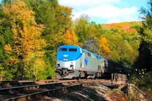 View of the Lakeshore Limited through autumn foliage