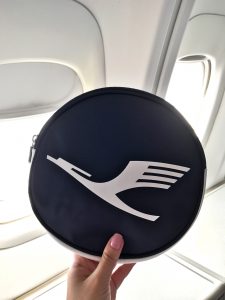 Lufthansa Business Class Flight Review with New Livery and Logo Redesign