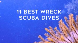 11 best wreck scuba dives