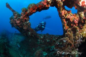 Wreck Dive Adrian Stacey
