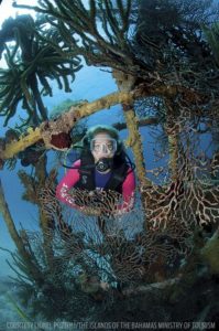 Courtesy Lionel Pozzoli The Islands of the Bahamas Ministry of Tourism