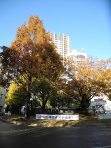 Mitaka Travel Guide: A Quick Trip From Tokyo