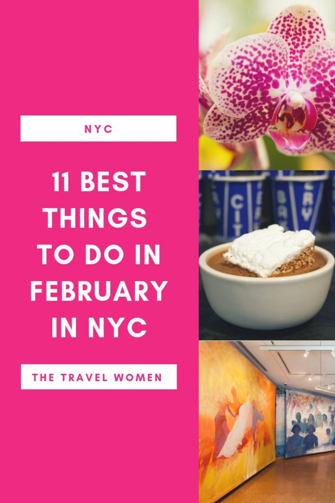 11 Best Things To Do in NYC in February The Travel Women