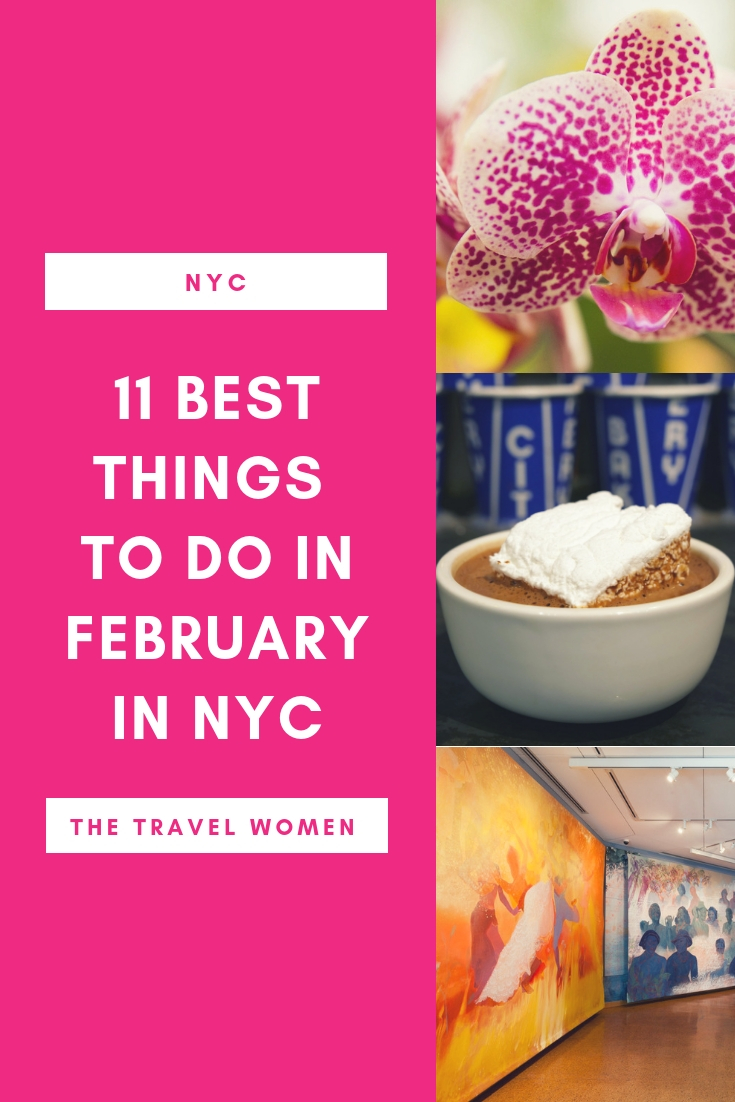 11 Best Things To Do in NYC in February The Travel Women