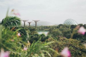 Singapore Supertrees Garden City