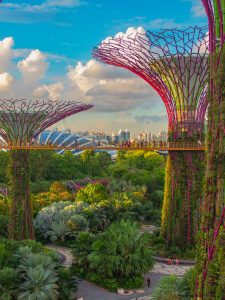 Singapore Supertrees NYBG Orchid Show