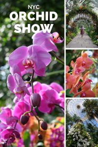 New York Botanical Garden Orchid Show NYC