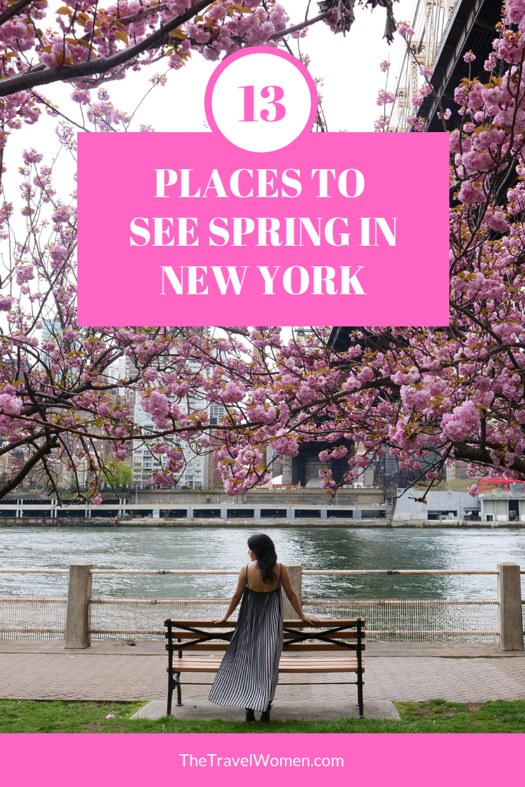 Spring in NYC at Grant's memorial Sakura Park Riverside