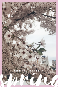 Best NYC Places Spring Cherry Blossoms