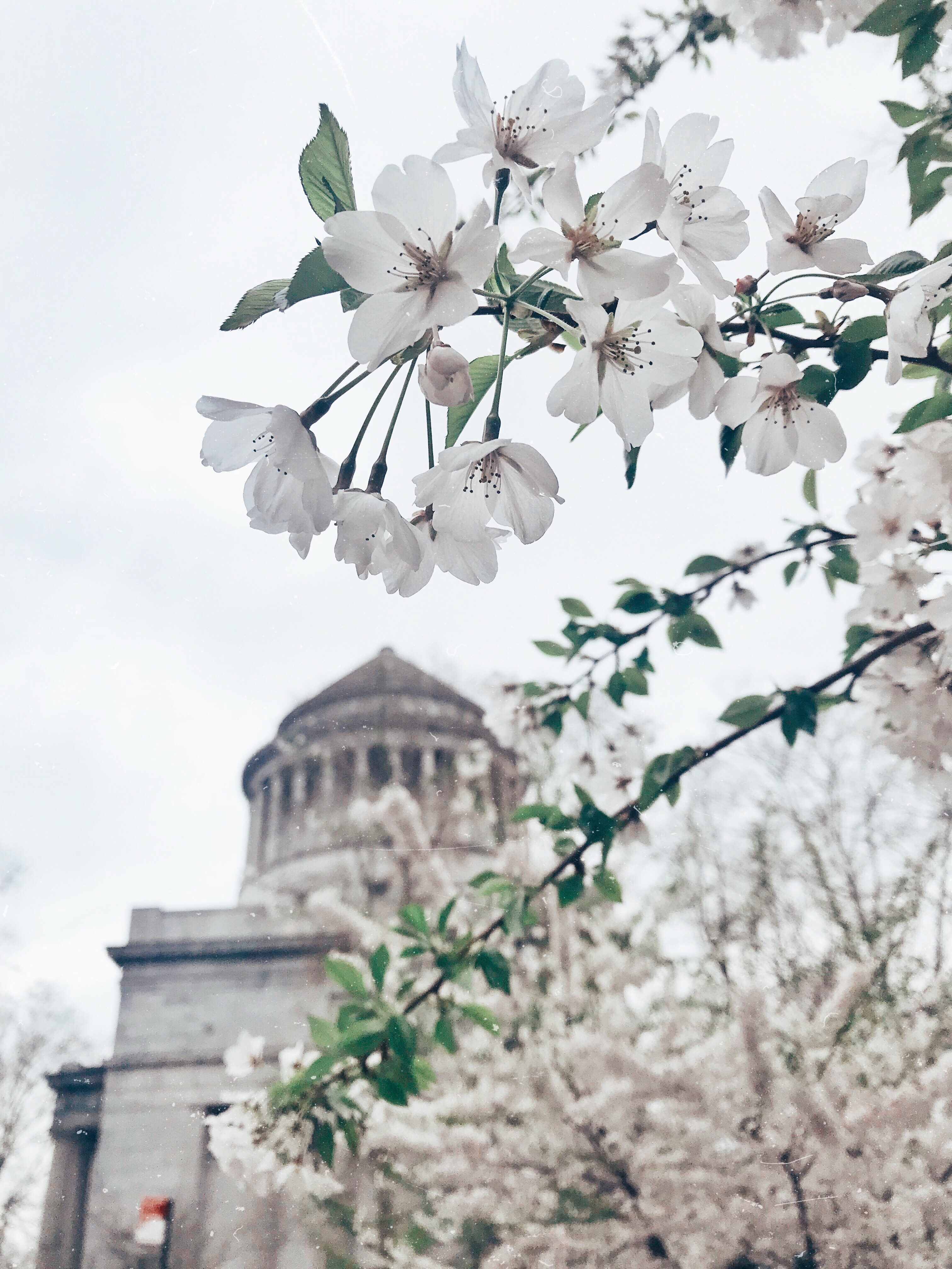 Grants Tomb Sakura Park