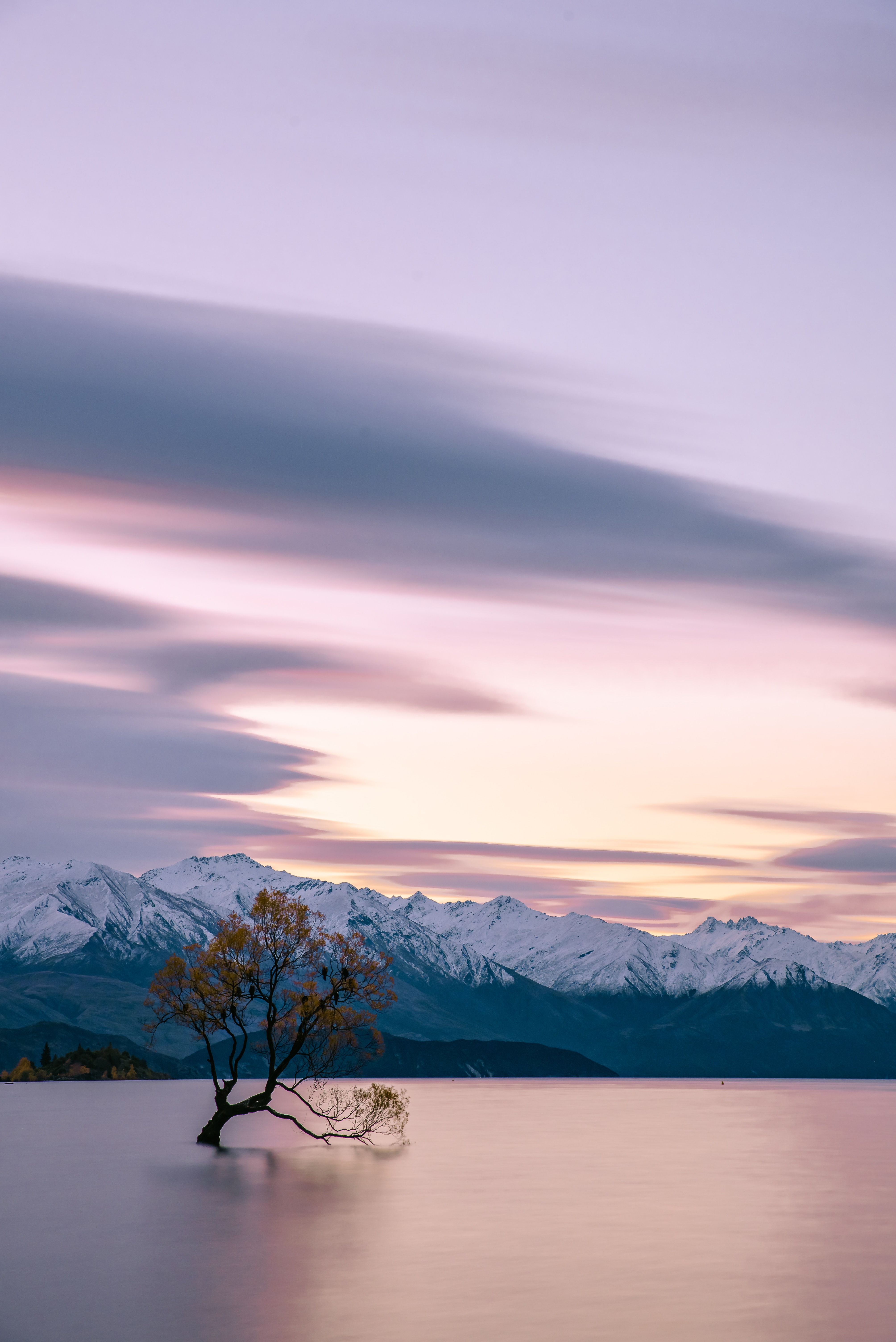 11 wanaka tree New Zealand 2019 top destination place to travel sunset long exposure purple sky
