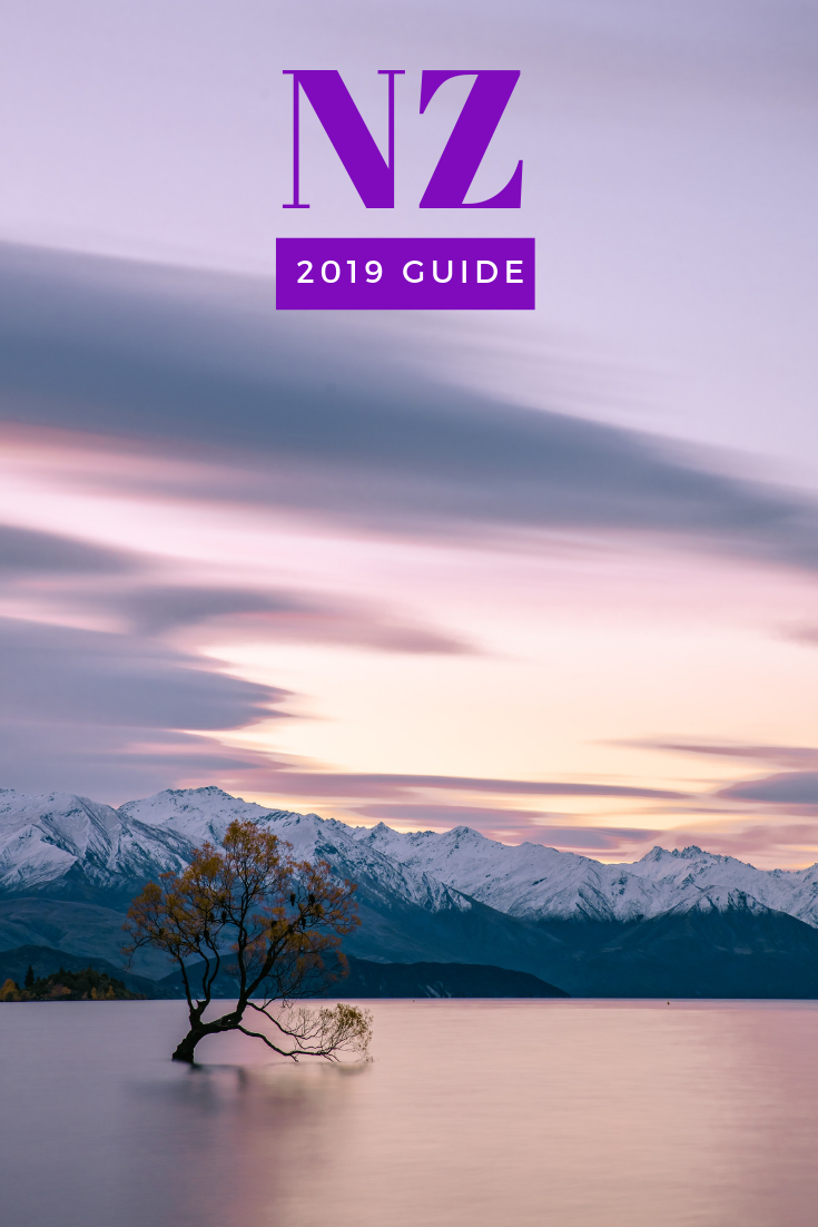 2019 NZ Guide Wanaka tree sunset long exposure