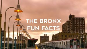 The Bronx Fun Facts