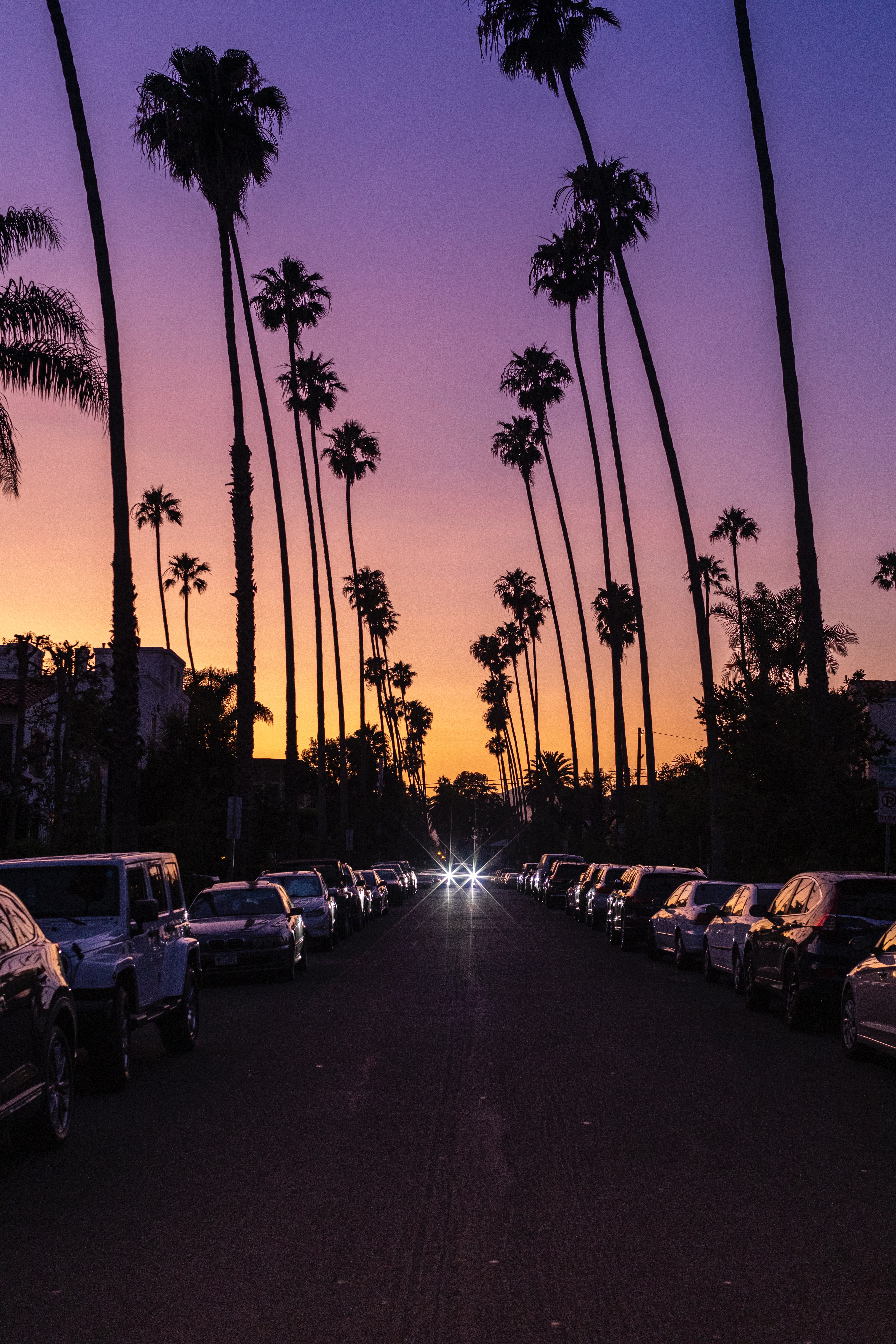 19. Santa Monica, California daniel-schludi-t6JpiIWLLp8-unsplash