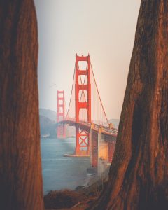 1. San Diego, California montylov-ktZZiHb-GoI-unsplash