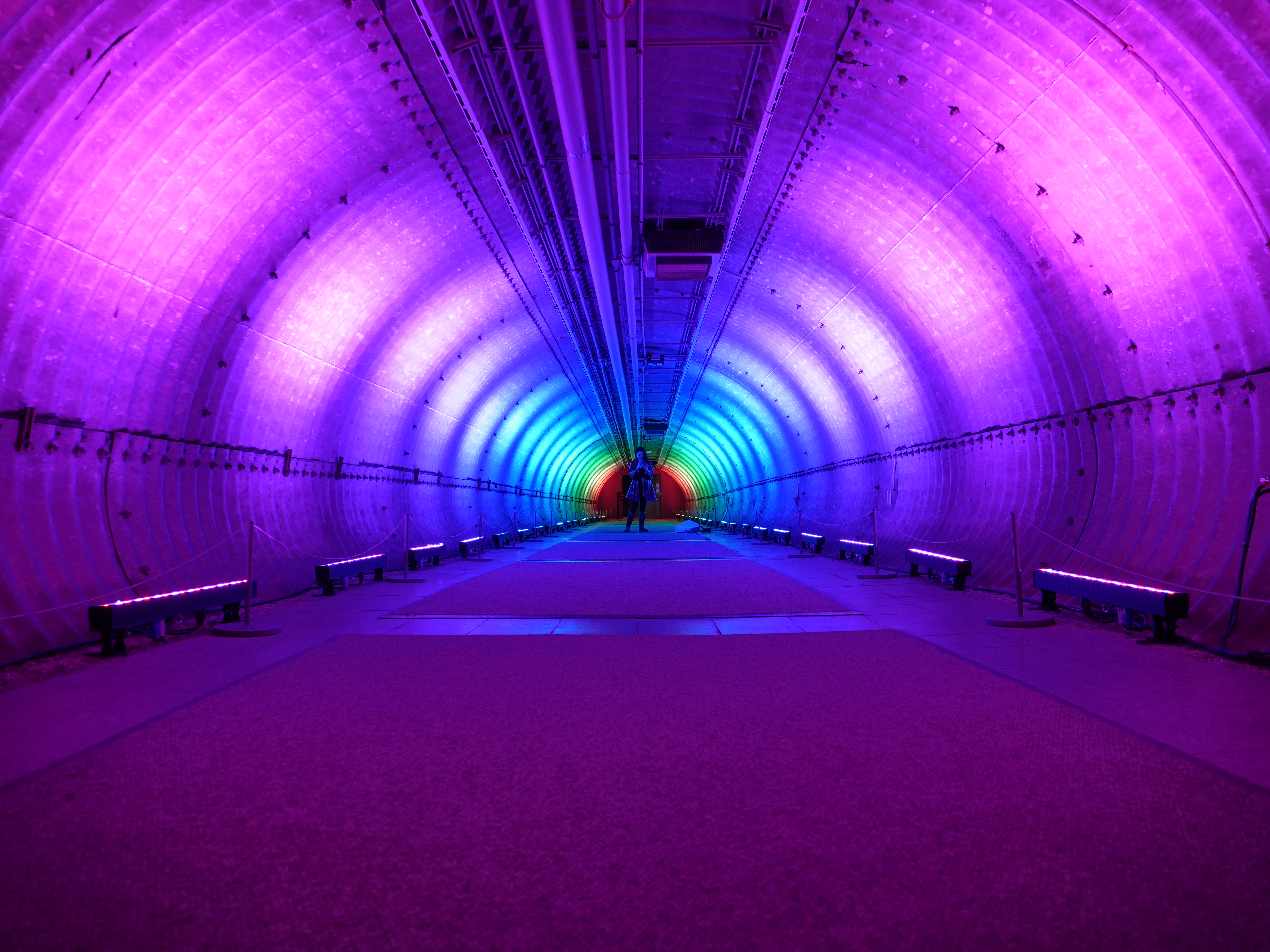 Rainbow lights tunnel NYBG 2020 Bronx NYC