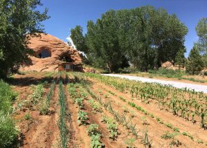 Most Unique USA Airbnbs Navajo sandstone home cave Boulder Utah garden