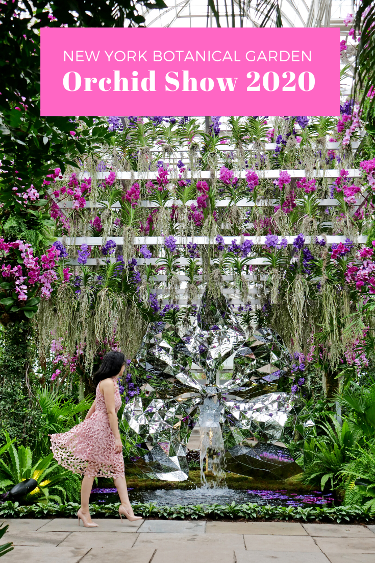 Nybg Orchid Show Nyc 2020 Twist